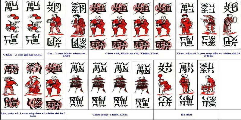 Tổng hợp thông tin cơ bản về bài chắn