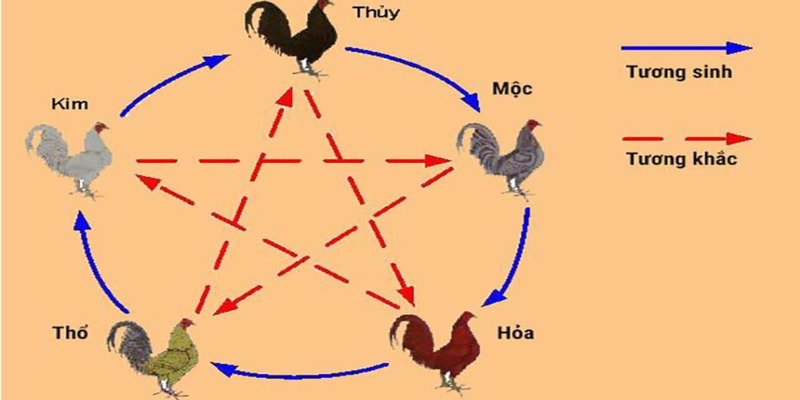 Cách xem ngày ra trận gà đá theo phong thủy